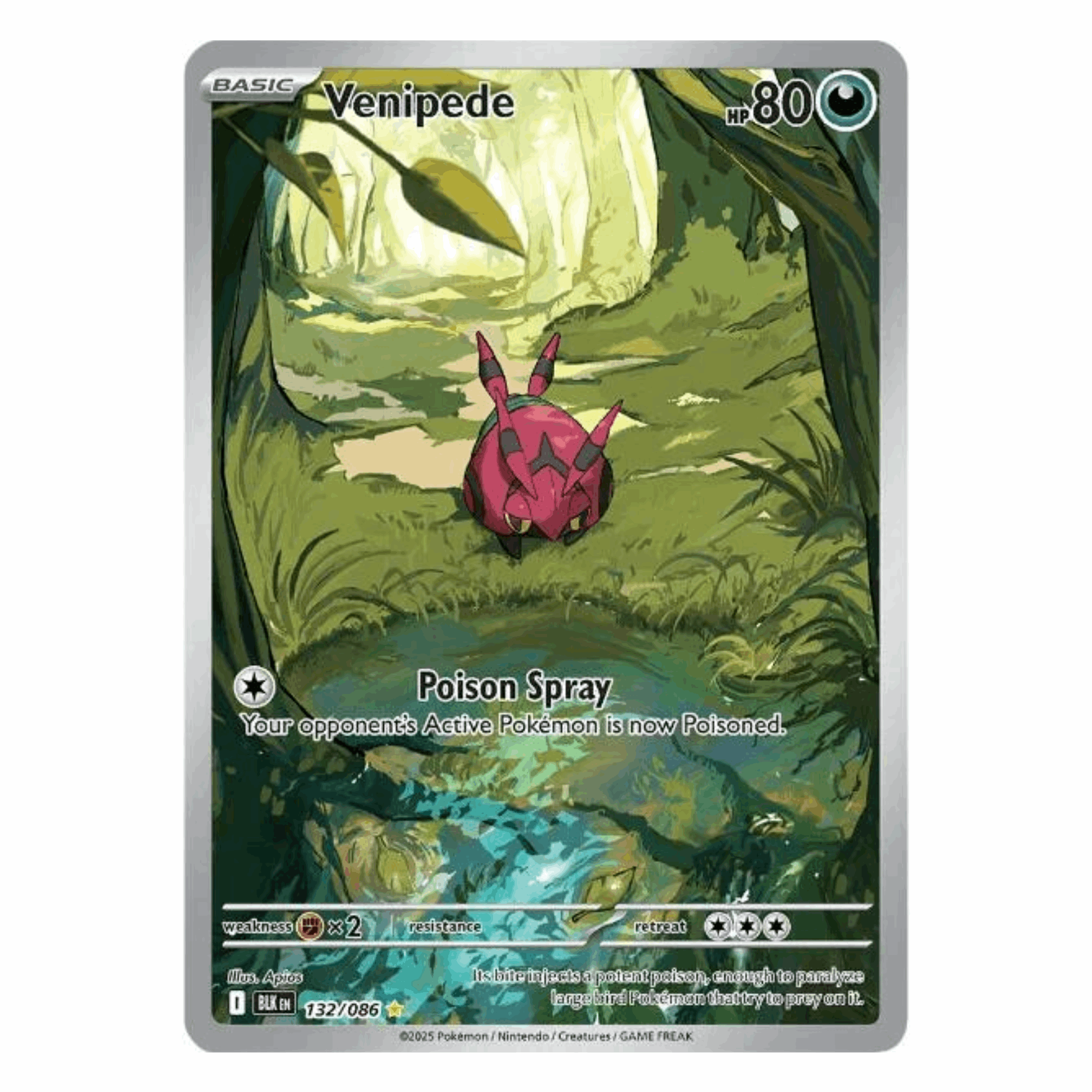 Pokémon - Venipede IR #132 (Black Bolt) – BGS 9 Mint