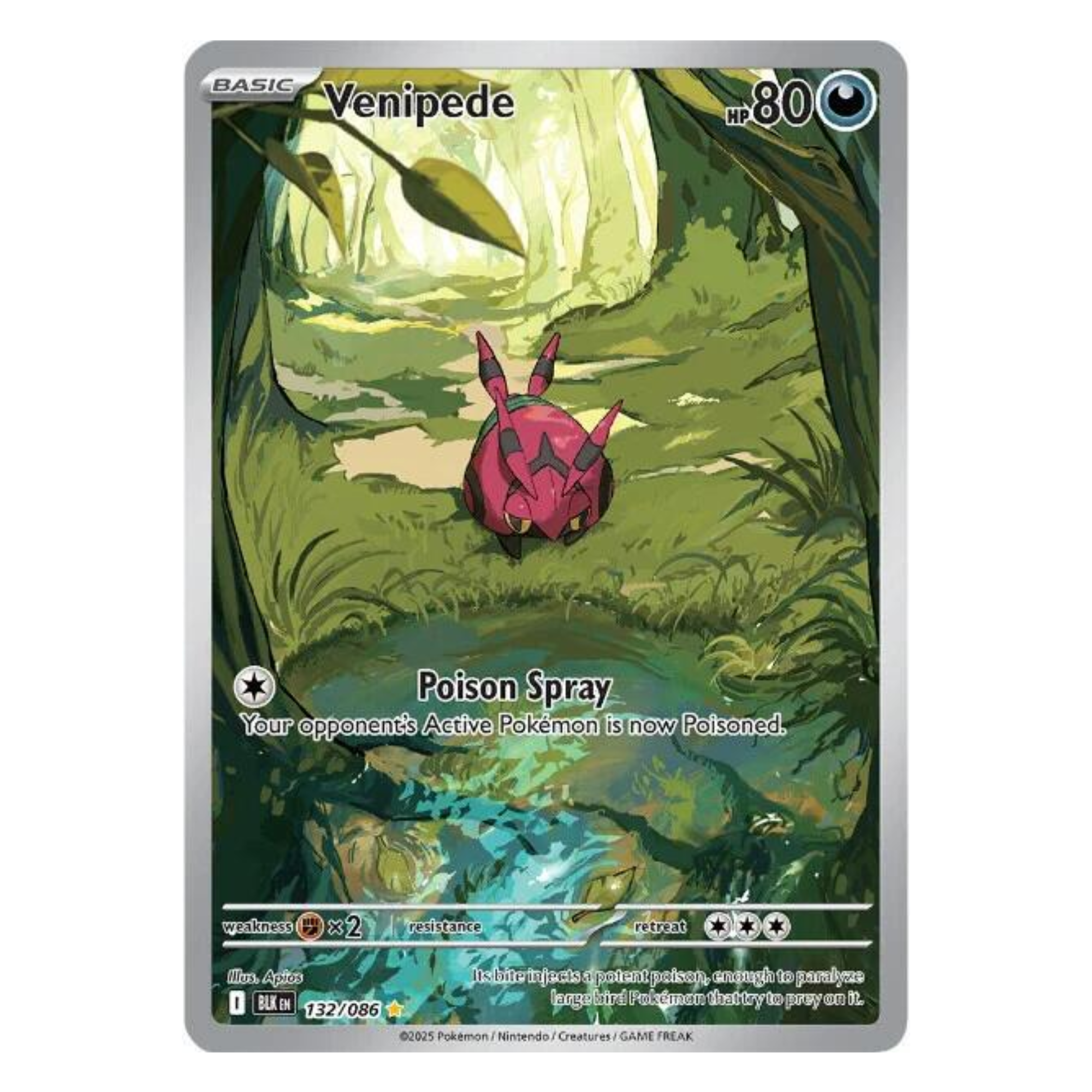 Pokémon - Venipede IR #132 (Black Bolt) – BGS 9 Mint