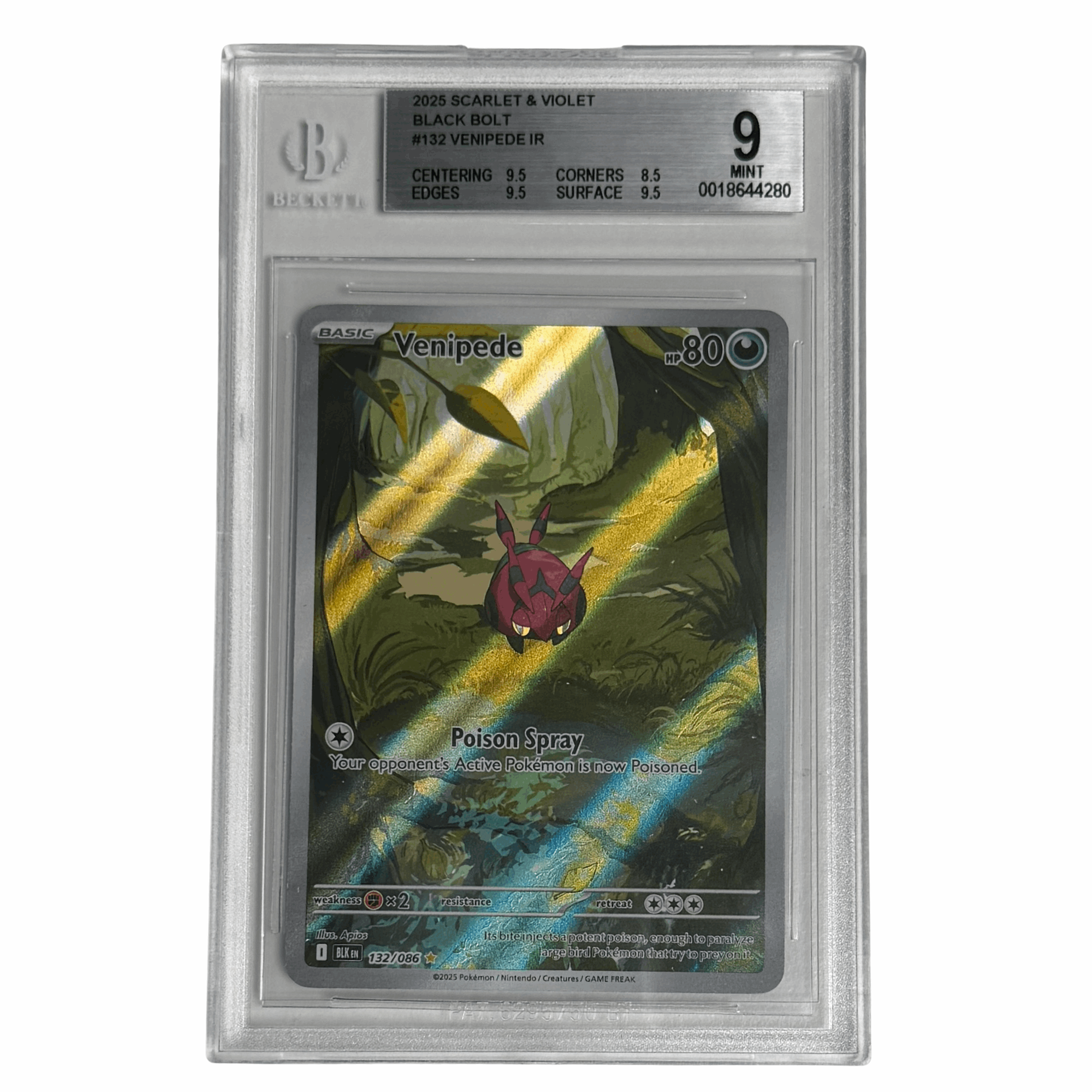 Pokémon - Venipede IR #132 (Black Bolt) – BGS 9 Mint