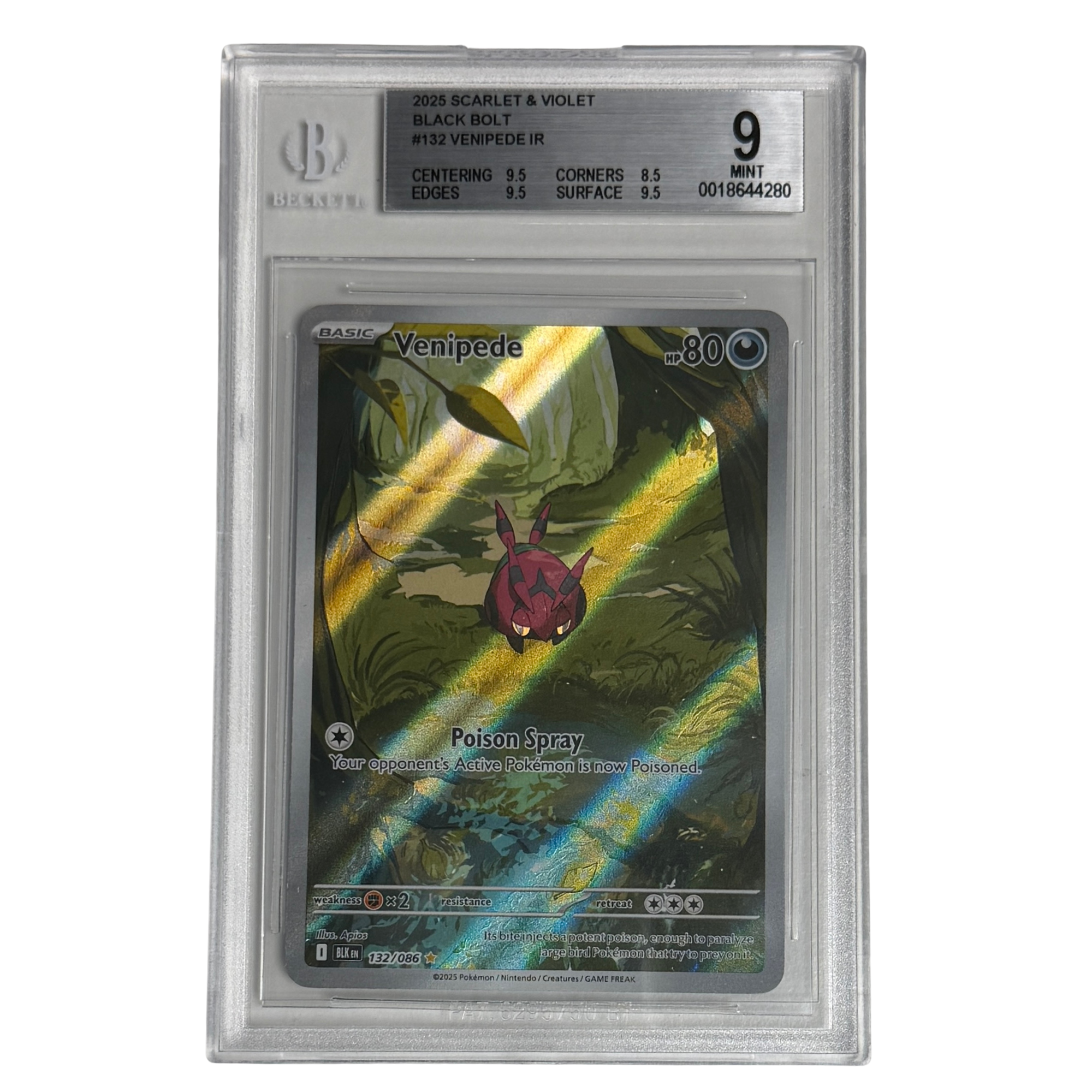 Pokémon - Venipede IR #132 (Black Bolt) – BGS 9 Mint