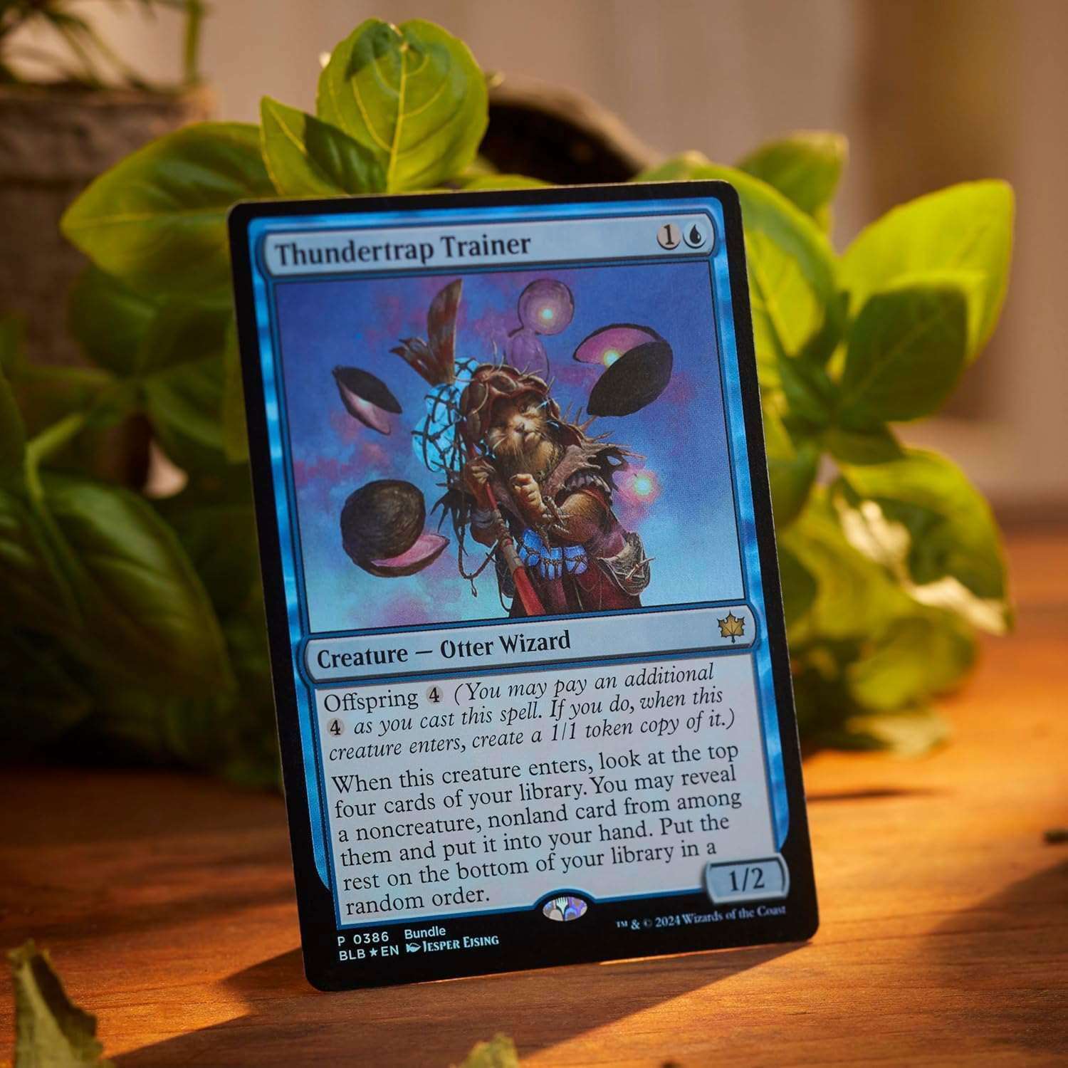 Magic: The Gathering - Bloomburrow Bundle - EN - cardcosmos