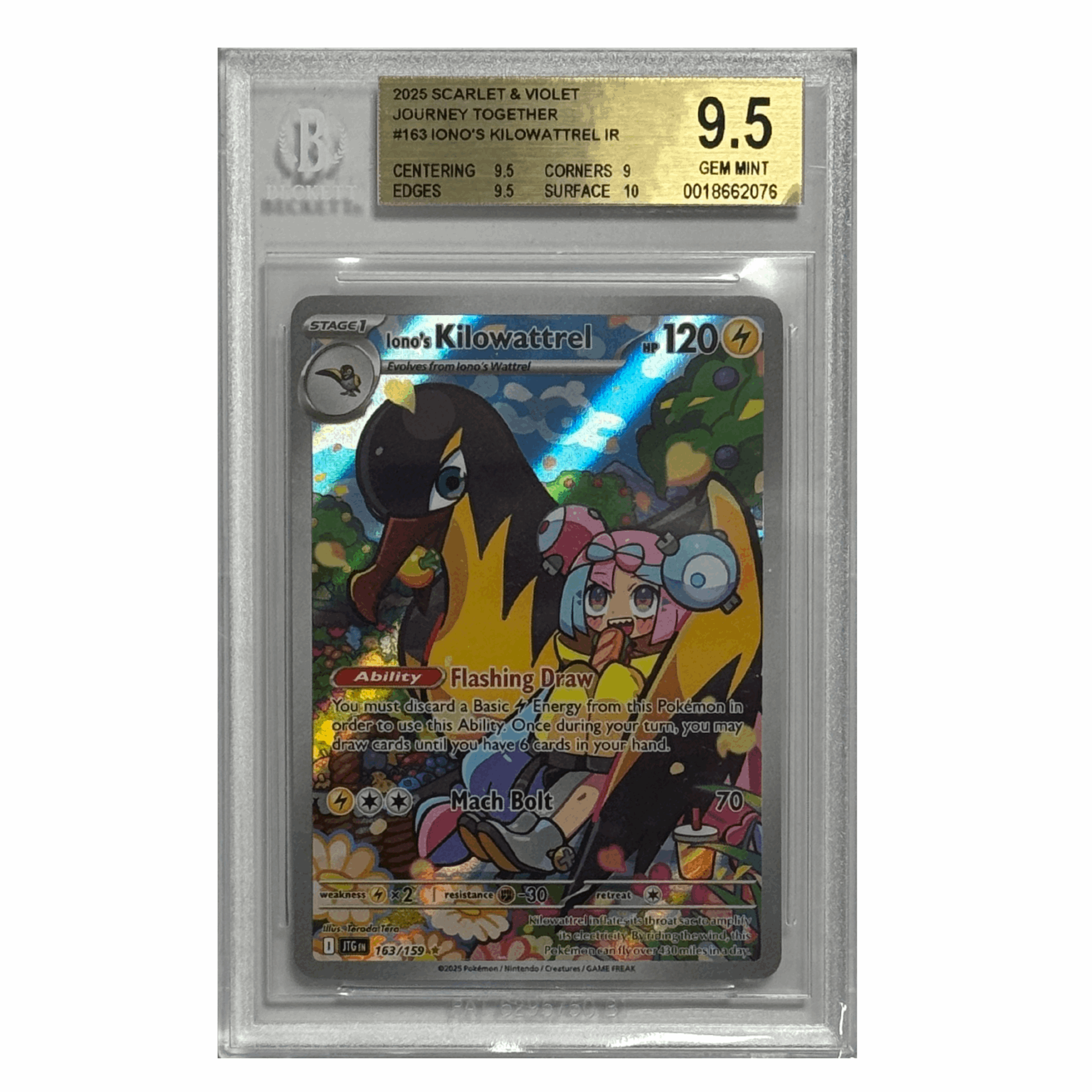 Pokémon – Ionos Kilowattrel IR #163 (Journey Together) – BGS 9.5 Gem Mint