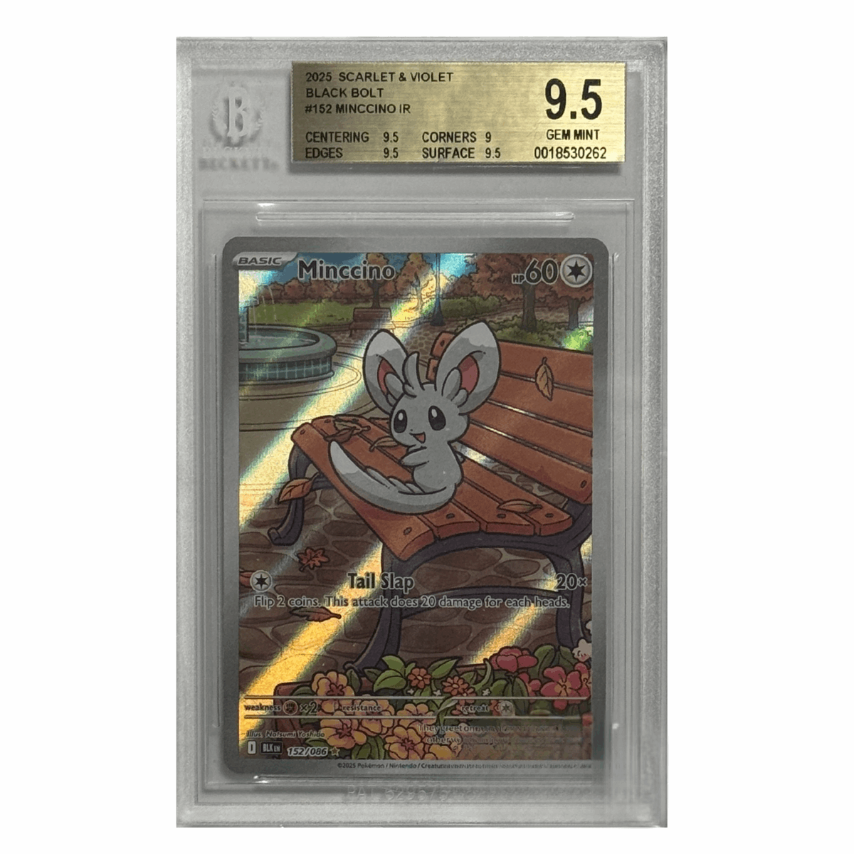 Pokémon – Minccino IR #152 (Black Bolt) – BGS 9.5 Gem Mint