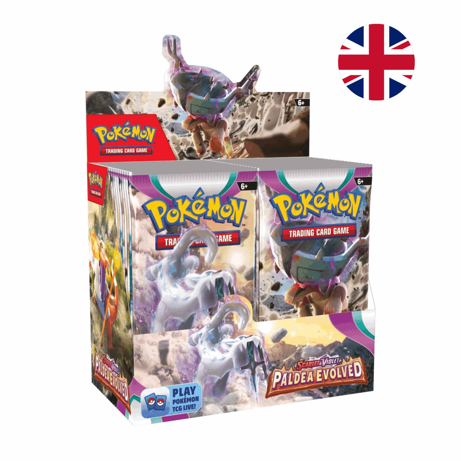 Pokémon - Scarlet & Violet: Paldea Evolved Booster Display Box - EN - cardcosmos