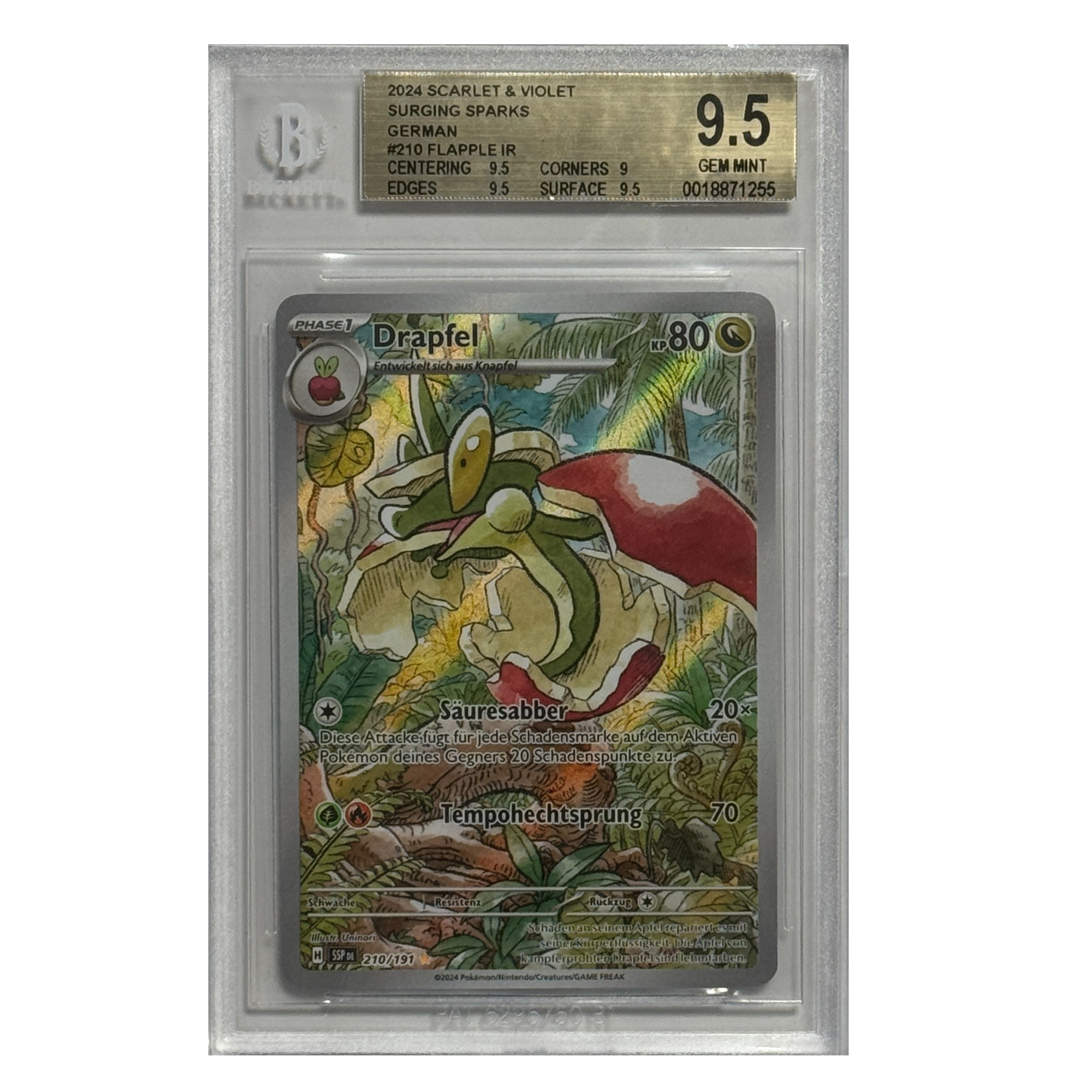 Pokémon – Drapfel IR #210 (Surging Sparks) – BGS 9.5 GEM MINT - Cardcosmos