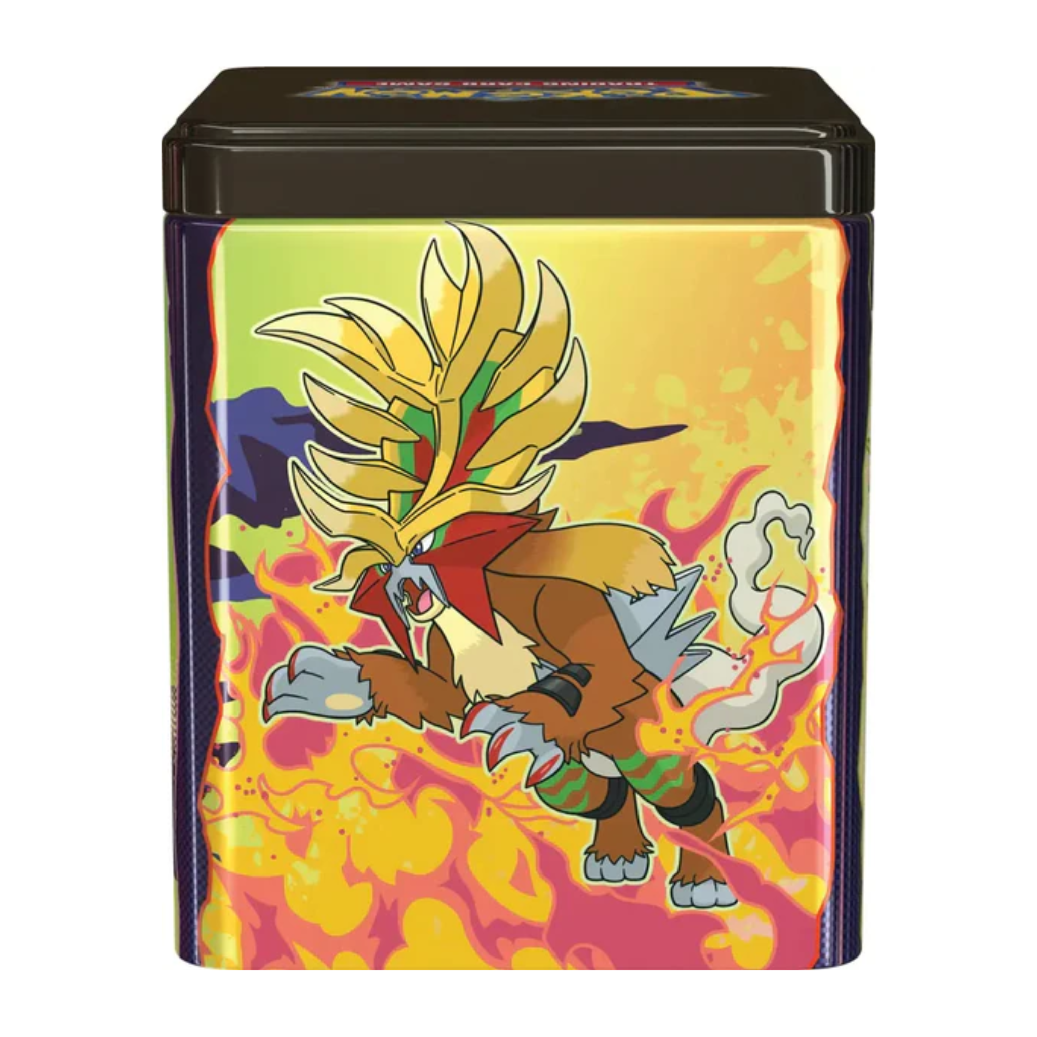 Pokémon - 2025 Stacking Tin Paradox - DE