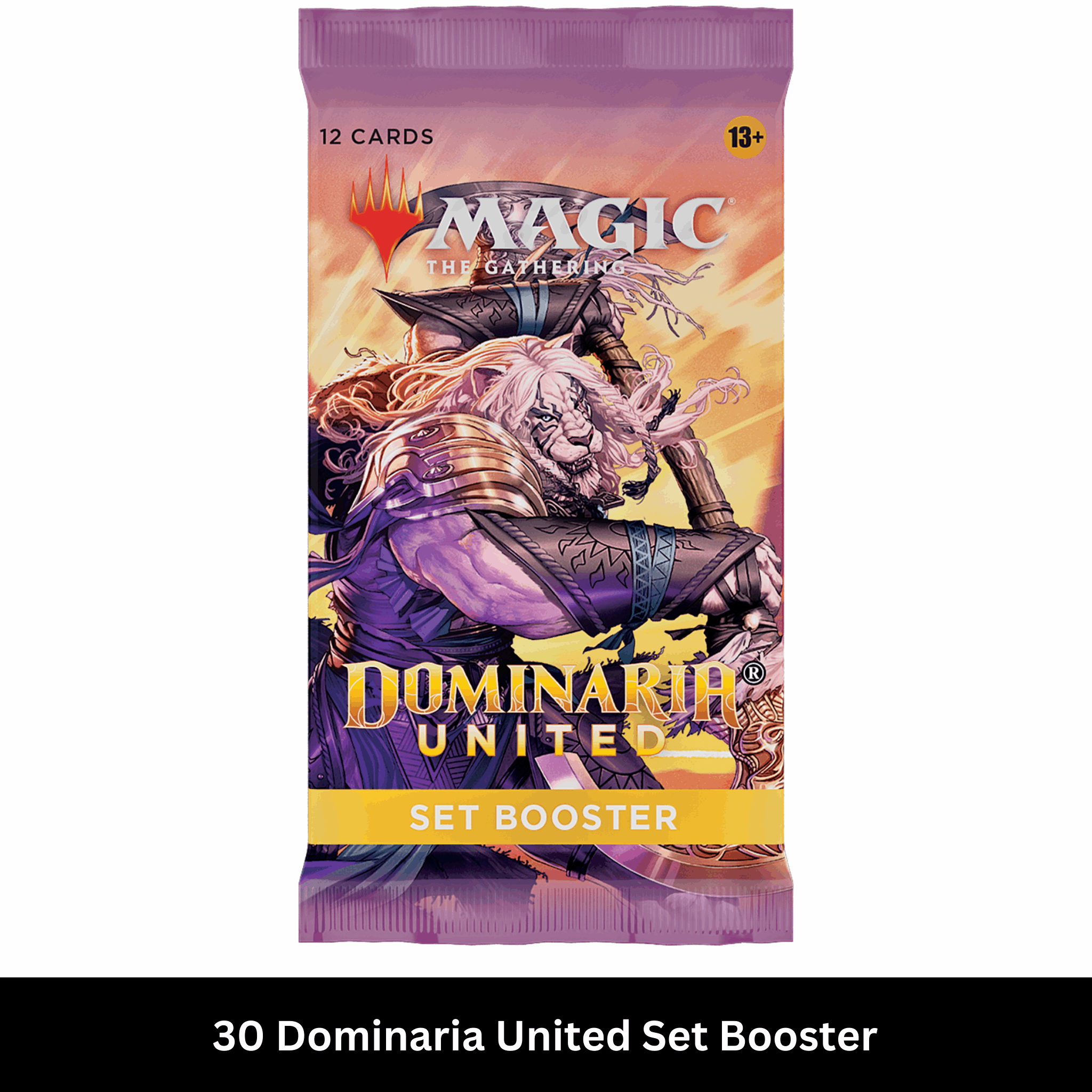 Magic: The Gathering - Dominaria United Set Booster Box - EN Booster Pack