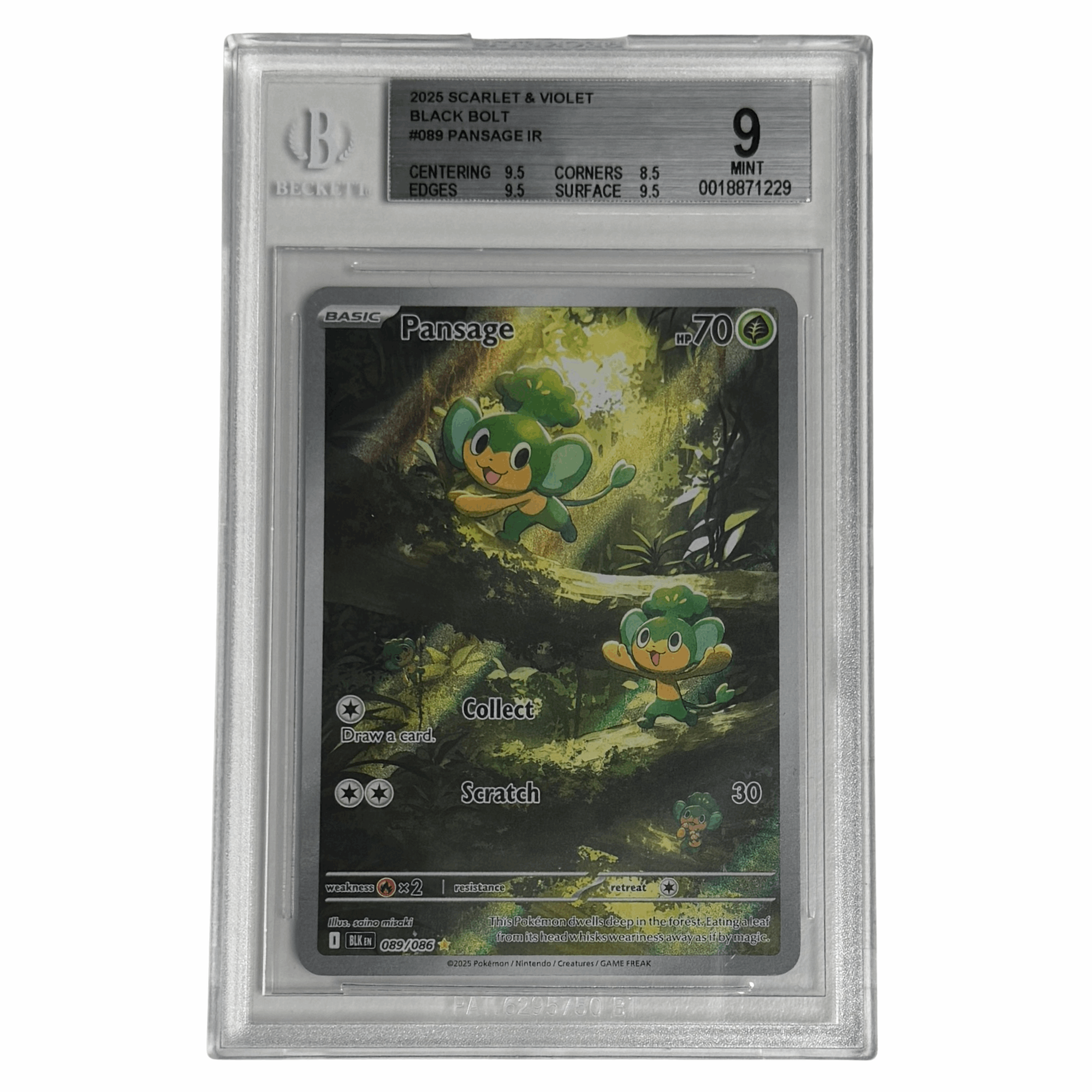 Pokémon - Pansage IR #089 (Black Bolt) – BGS 9 Mint