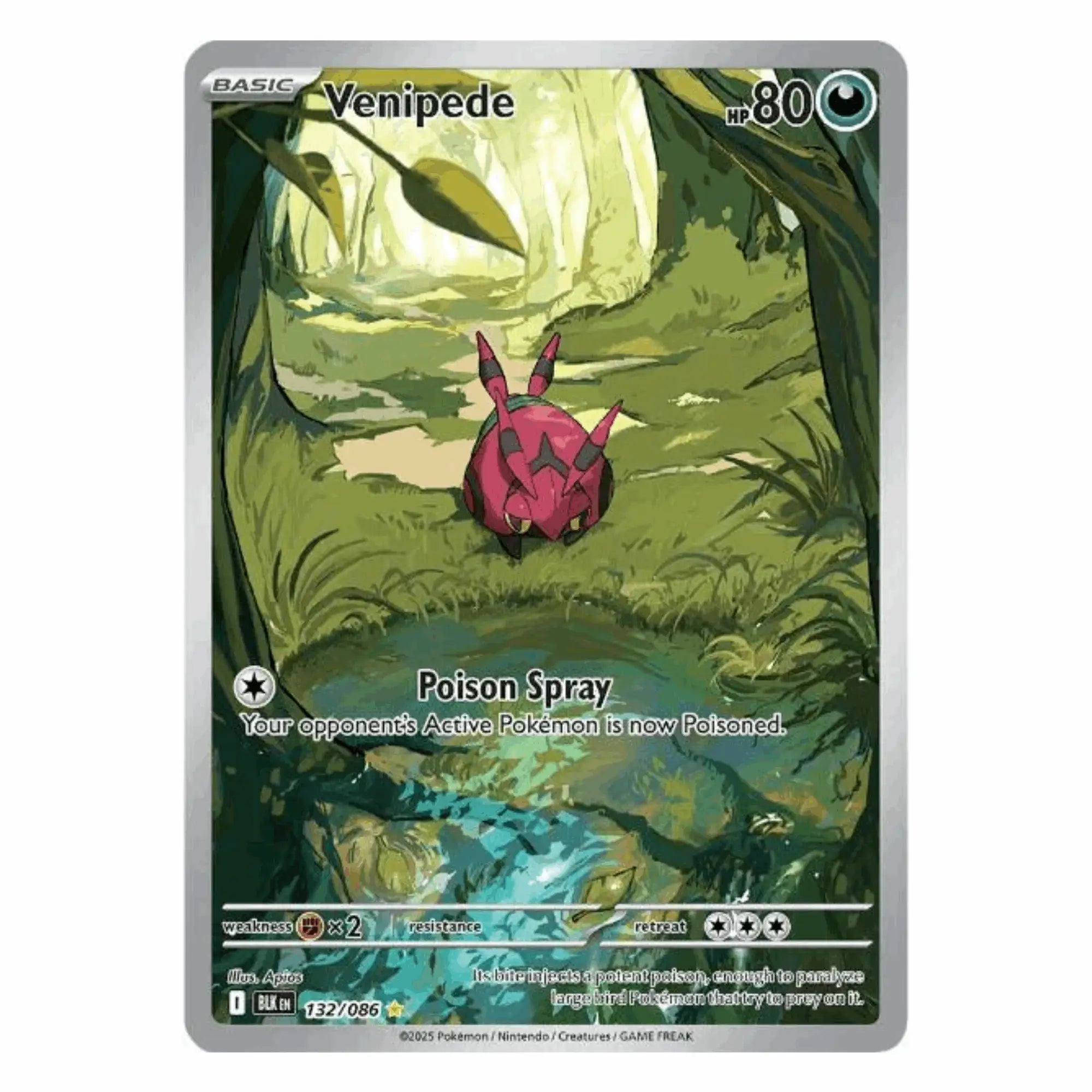 Pokémon - Venipede IR #132 (Black Bolt) – BGS 9 Mint