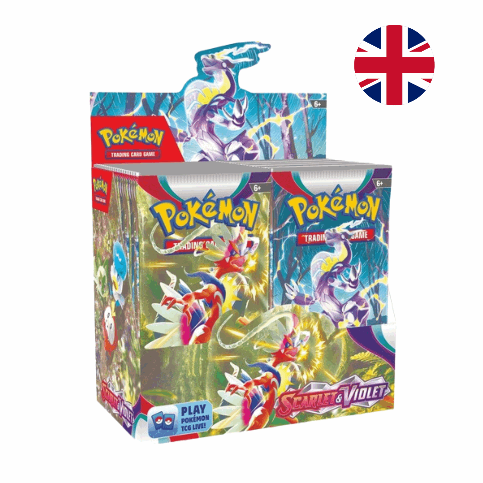 Pokémon - Scarlet & Violet: Booster Display - EN - cardcosmos